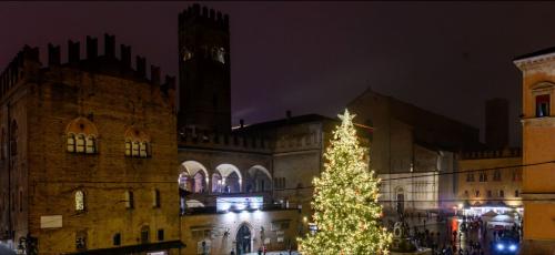 albero di natale in piazza nettuno