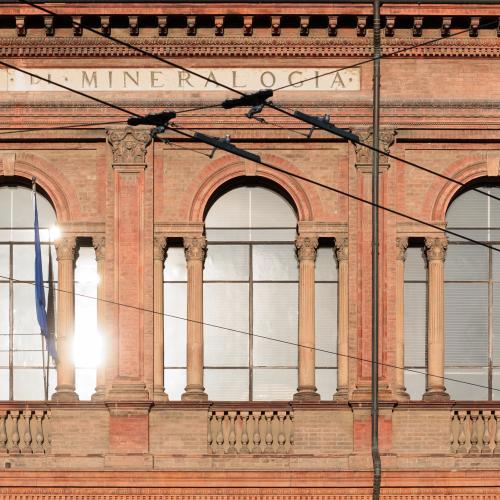 dettaglio della finestra serliana del museo di mineralogia