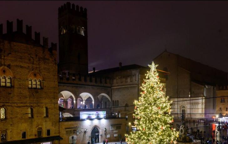 albero di natale in piazza nettuno